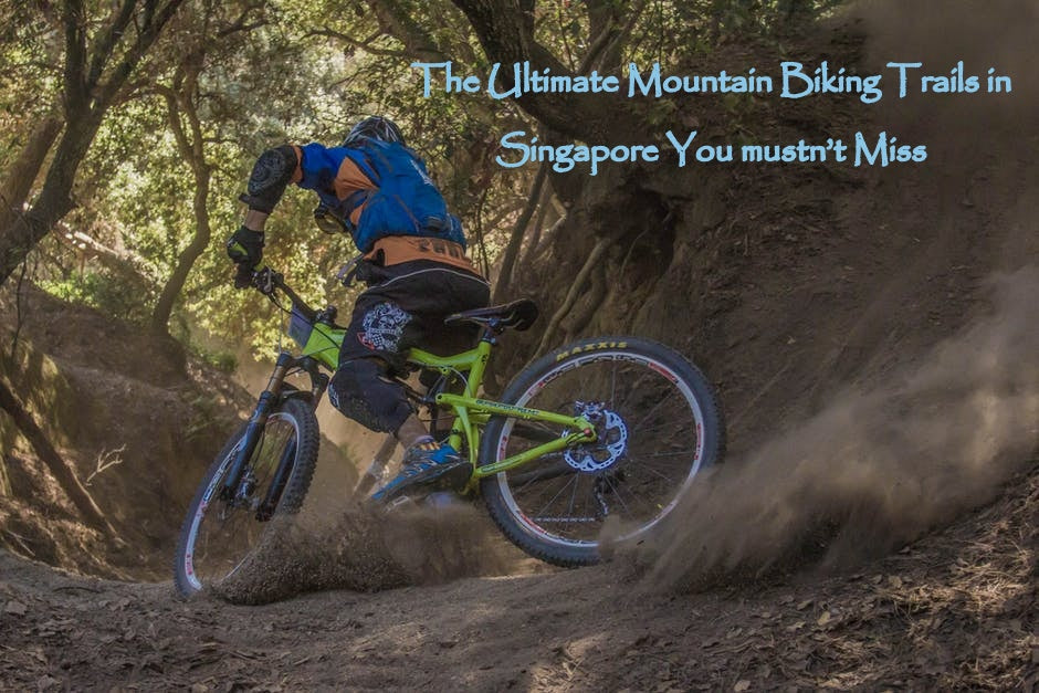 The Ultimate Mountain Biking Trails in Singapore You mustn’t Miss