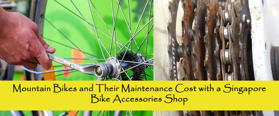 Mountain Bikes and Their Maintenance Cost with a Singapore Bike Accessories Shop