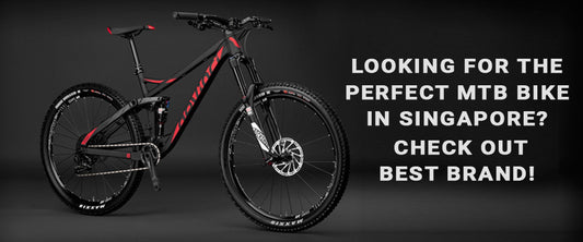 Looking for the Perfect mtb bike in Singapore? Check out Best Brand!
